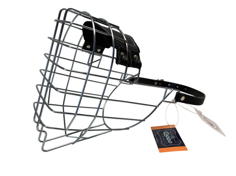 Chopo Neufundländer Rüde