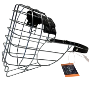 Chopo Neufundländer Rüde