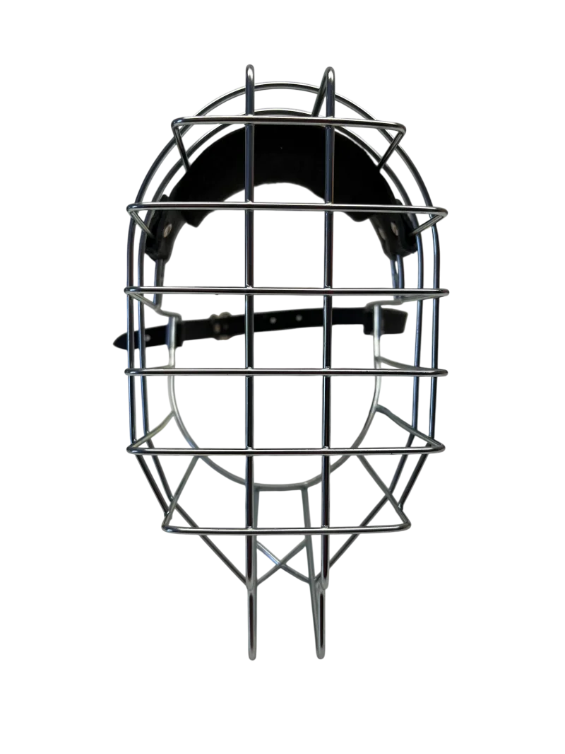 Chopo Neufundländer Rüde