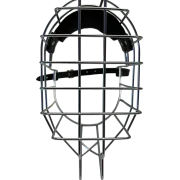 Chopo Neufundländer Rüde