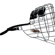 Chopo Neufundländer Rüde