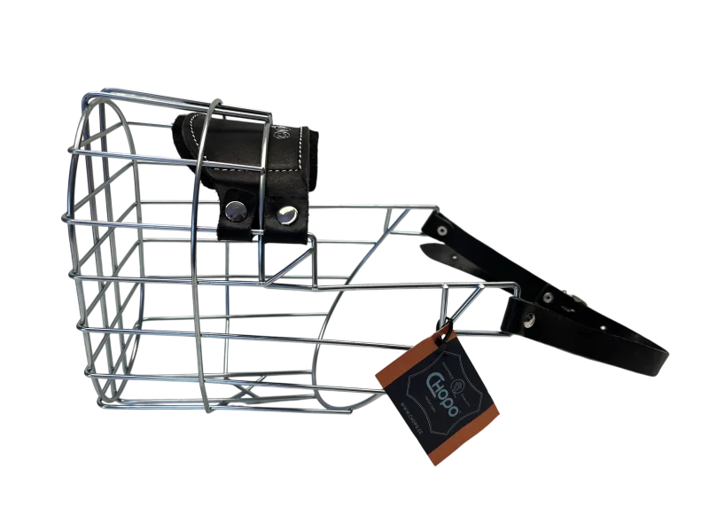 Chopo Neufundländer Rüde