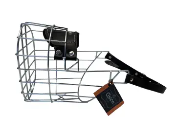 CHOPO Neufundländer Rüde