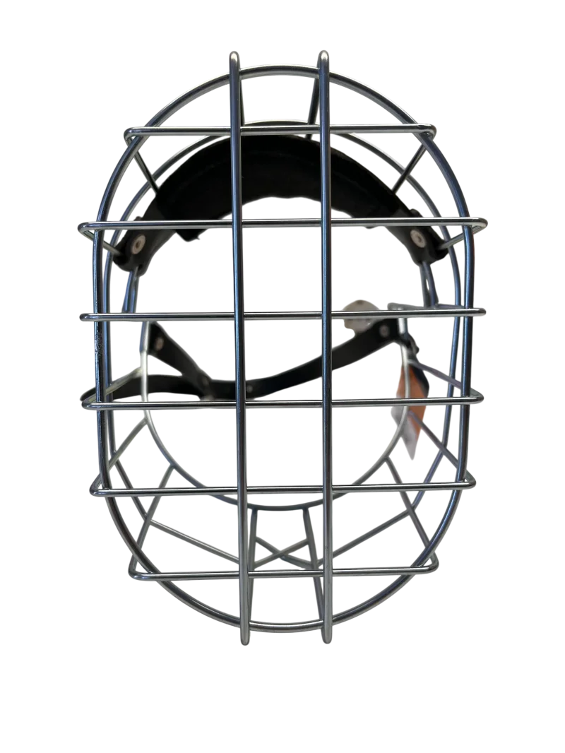 Chopo Neufundländer Rüde