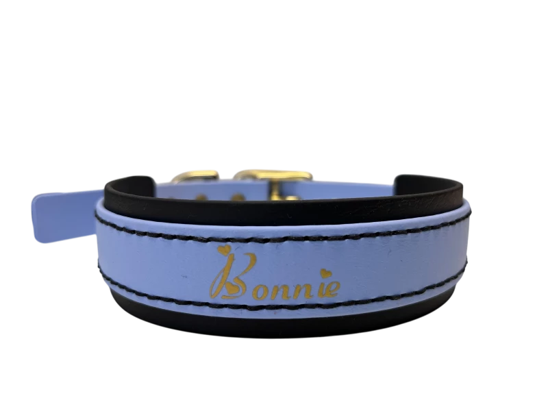 Halsband mit Unterlegung in den Farben himmelblau und schwarz und goldener Beschriftung