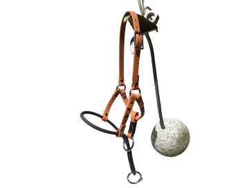 Halti für Kurznasen