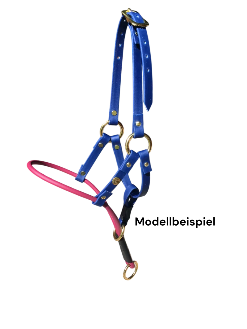 Halti für Kurznasen