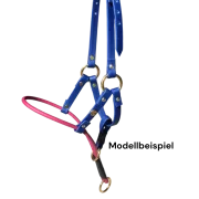 Halti für Kurznasen