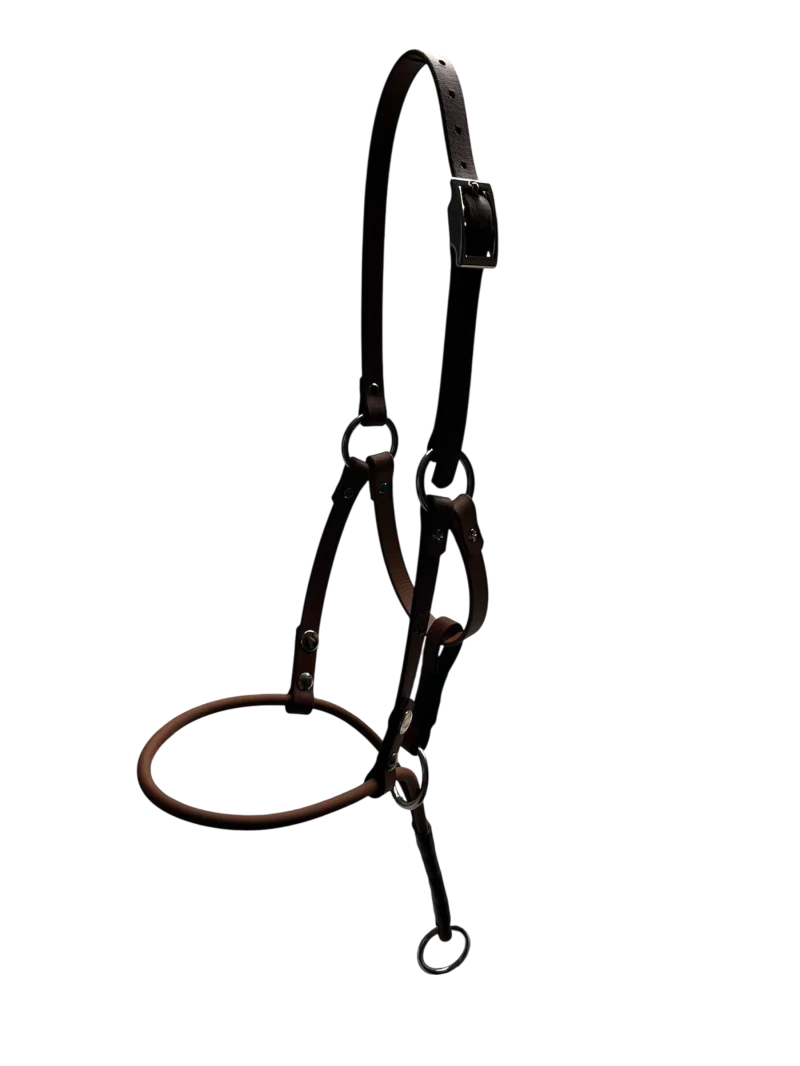 Halti für Kurznasen