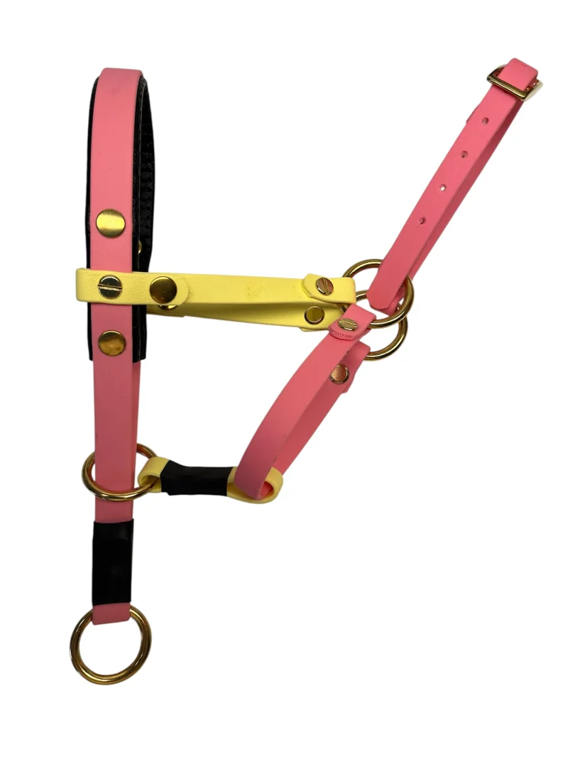 Halti Kopfhalfter für Langnasen