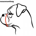 Halti für Kurznasen