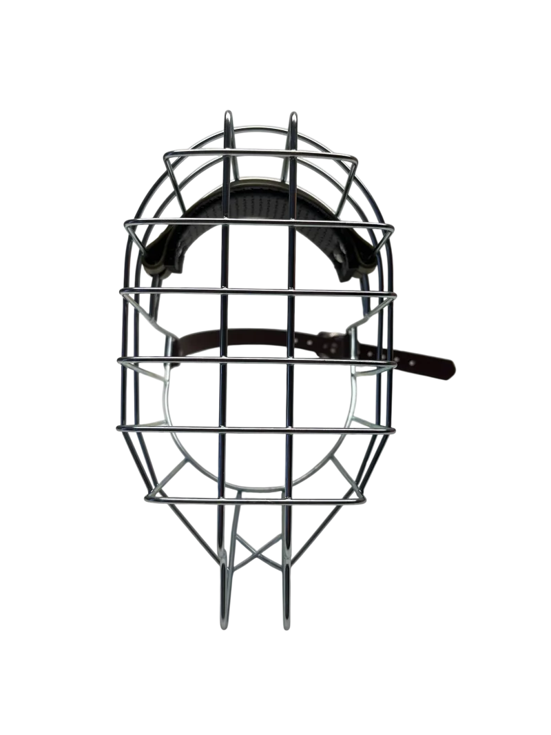 MKW - Dogge verzinkt