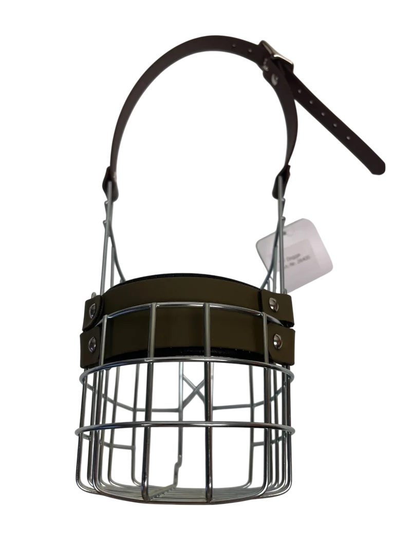 MKW - Dogge verzinkt