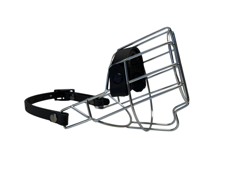 MKW - Affenpinscher Hündin