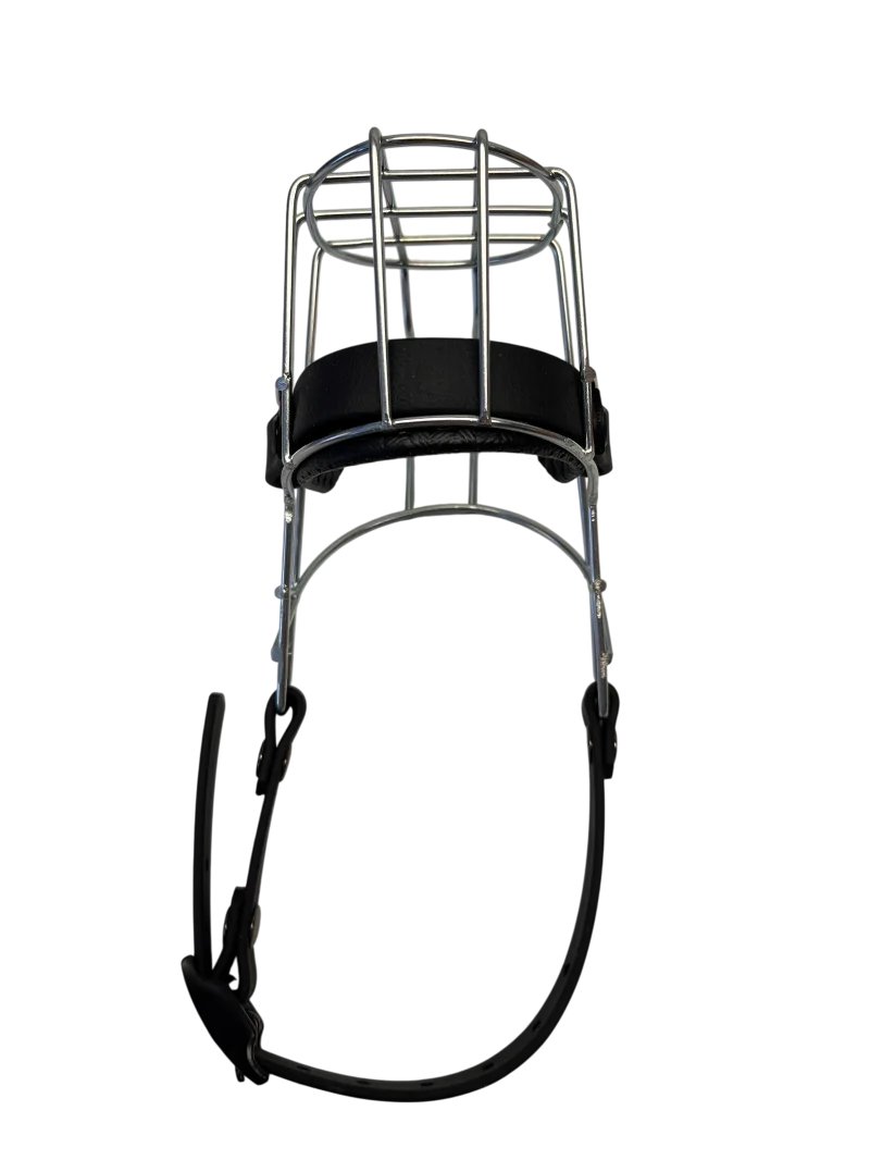 MKW - Affenpinscher Hündin