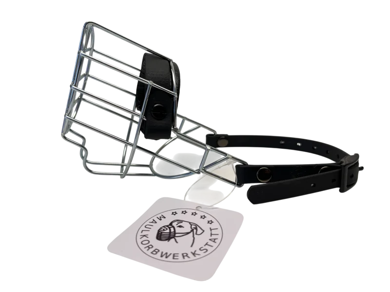 MKW - Affenpinscher Hündin