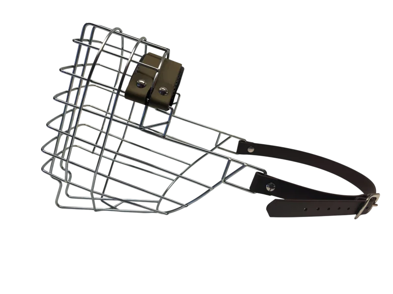 MKW - Dogge verzinkt