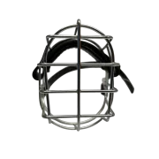 MKW - Chihuahua Rüde