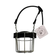 MKW - Chihuahua Rüde