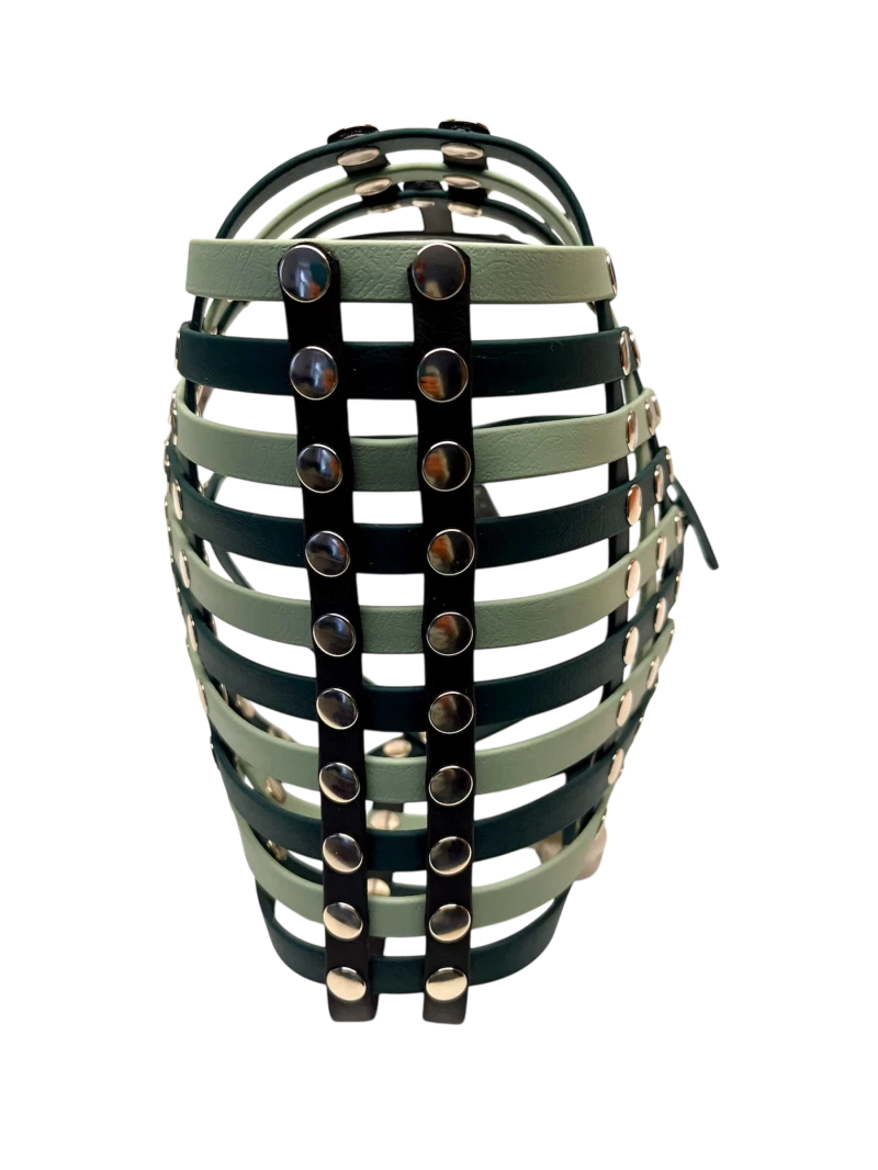 Frontansicht Maulkorb