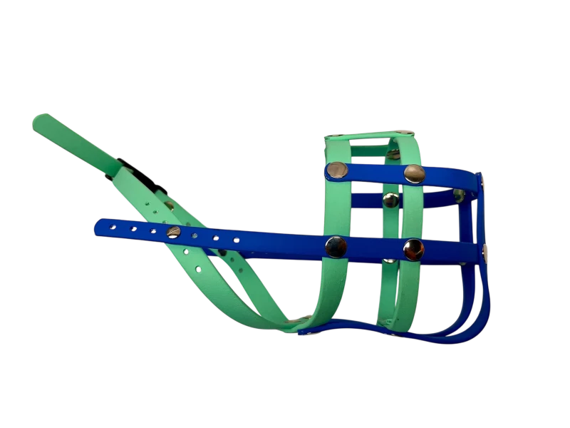 Maulkorb Nase frei Farben karibikgrün mittelblau