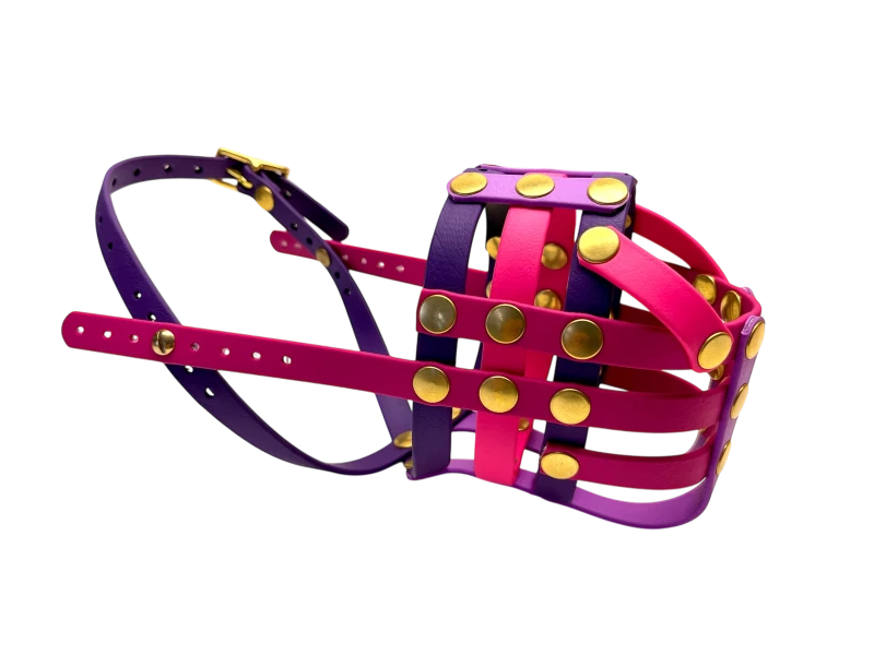 Seitenansicht rechts Maulkorb