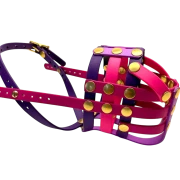 Seitenansicht rechts Maulkorb