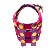 Frontansicht Maulkorb