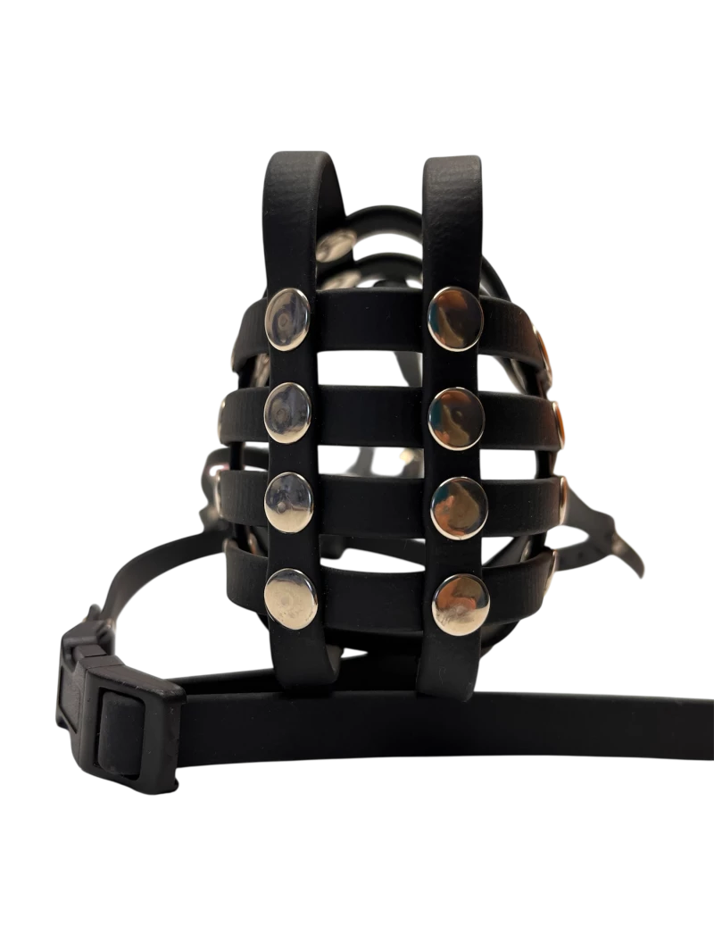 Maulkorb Frontansicht