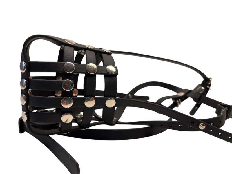 Maulkorb Seitenansicht