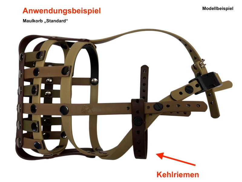 Anwendungsbeispiel Maulkorb mit Kehlriemen
