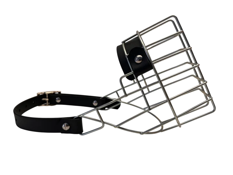 Unimon Mini Australian Shepherd