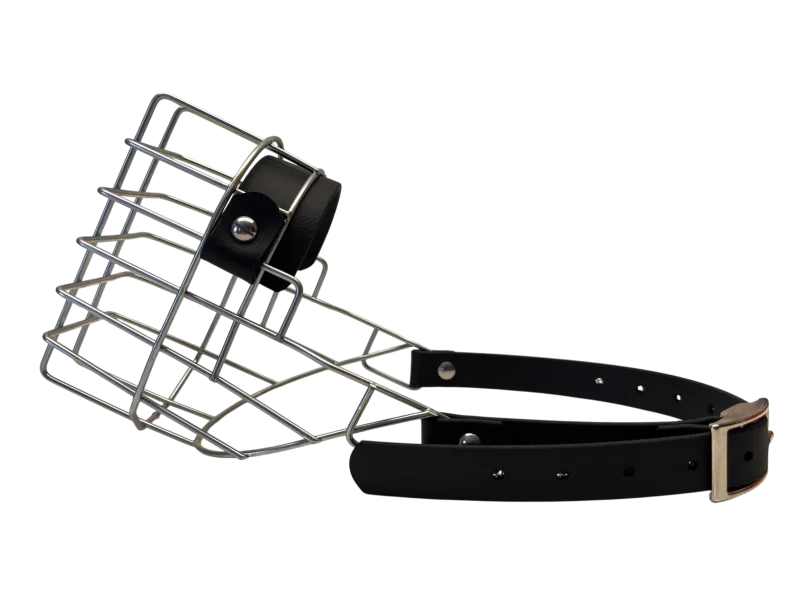 Unimon Mini Australian Shepherd