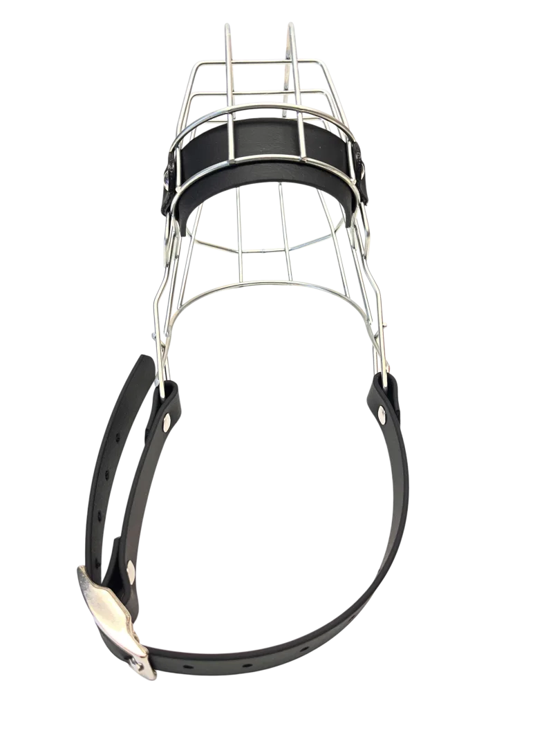 Unimon Mini Australian Shepherd