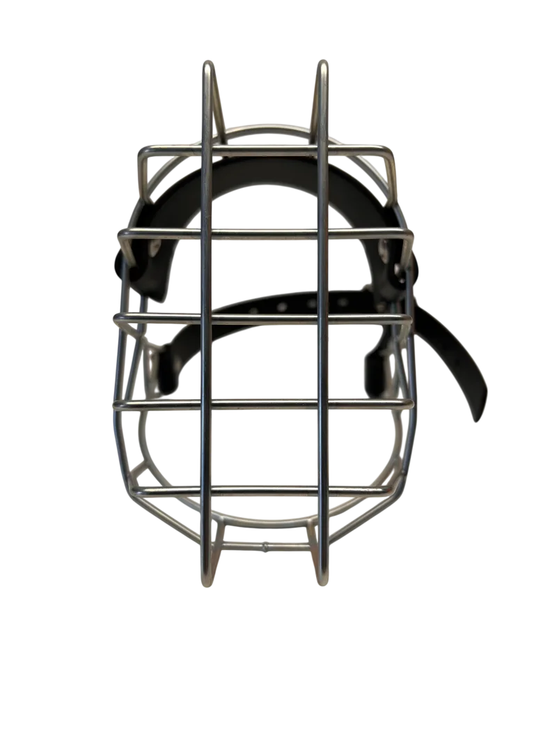 Unimon Mini Australian Shepherd