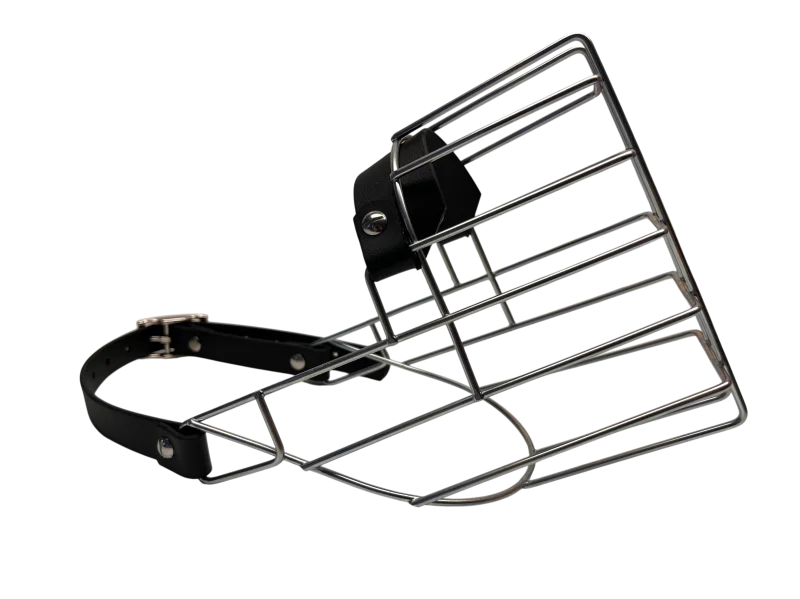 Unimon Australian Shepherd