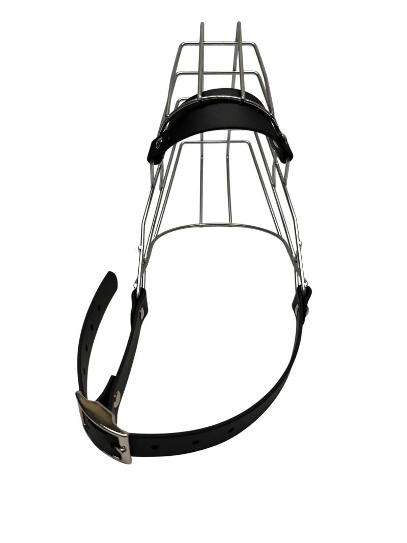 Unimon Australian Shepherd