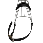 Unimon Australian Shepherd