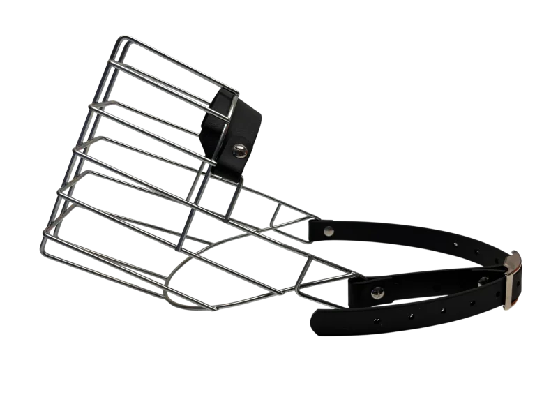 Unimon Australian Shepherd